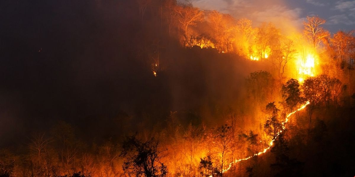 Incendi, 3.900 ettari in fumo in quattro mesi: il rischio resta alto