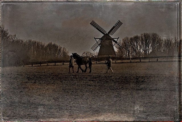 Cold Storage May Be Best for Historic Photographs and Film
