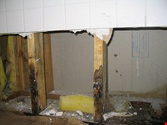 Mold: finding, preventing and fixing