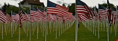 Avoid Document Restoration with Memorial Day Safety