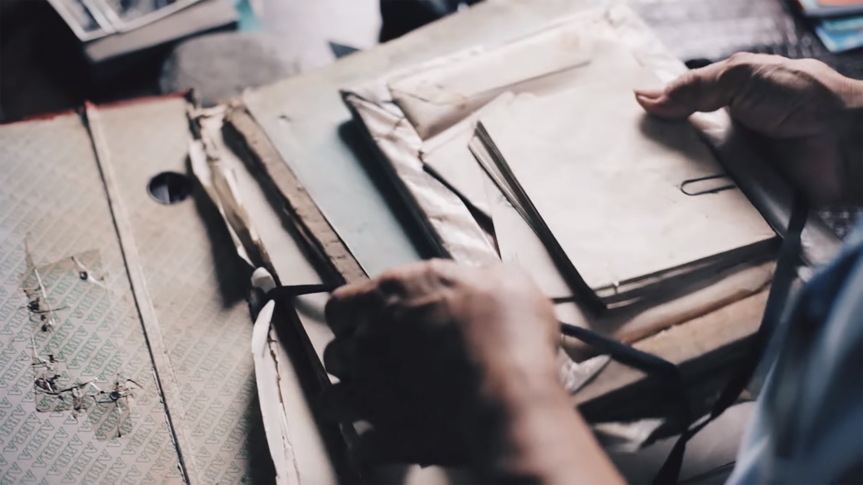 Proactive and Responsive Strategies for Timely Document Restoration