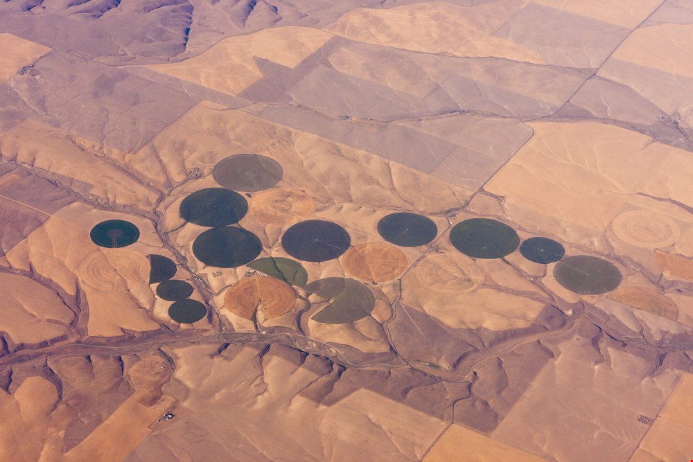Climate Control a Hot Topic for Desert Farmers & Food Industry