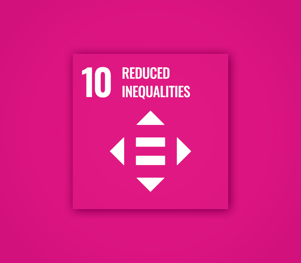 Polygon sustainability goal 10.