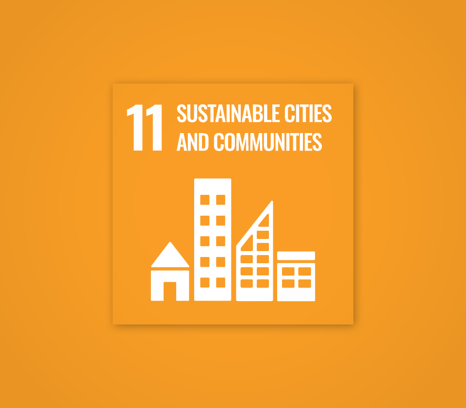 Polygon sustainability goal 11.