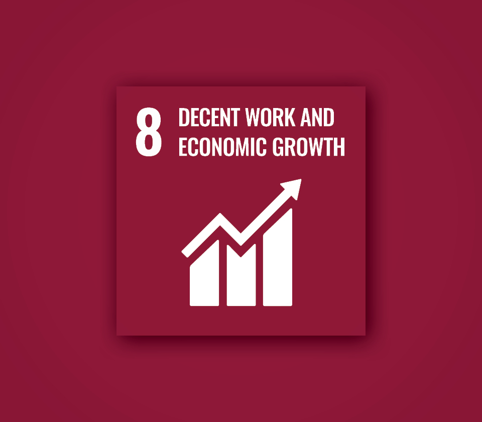 Polygon sustainability goal 8.